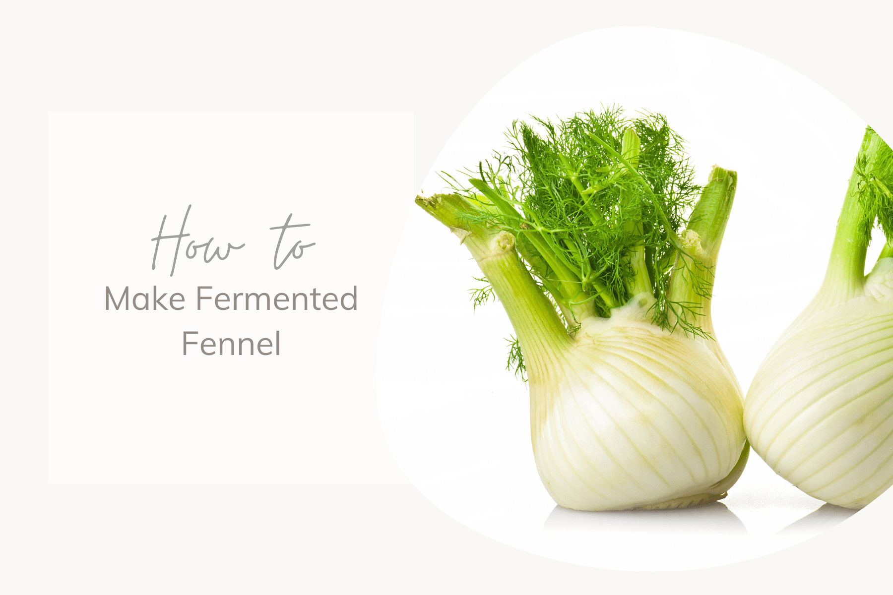 How to Make Fermented Fennel Share My Kitchen