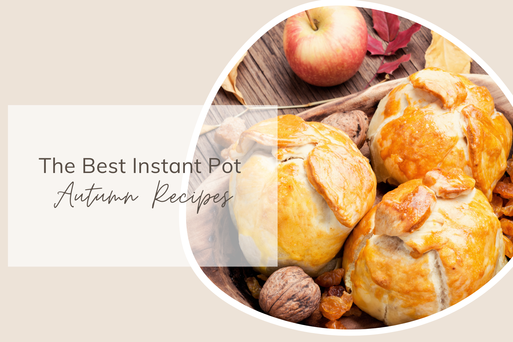 The Best Instant Pot Autumn Recipes Share My Kitchen