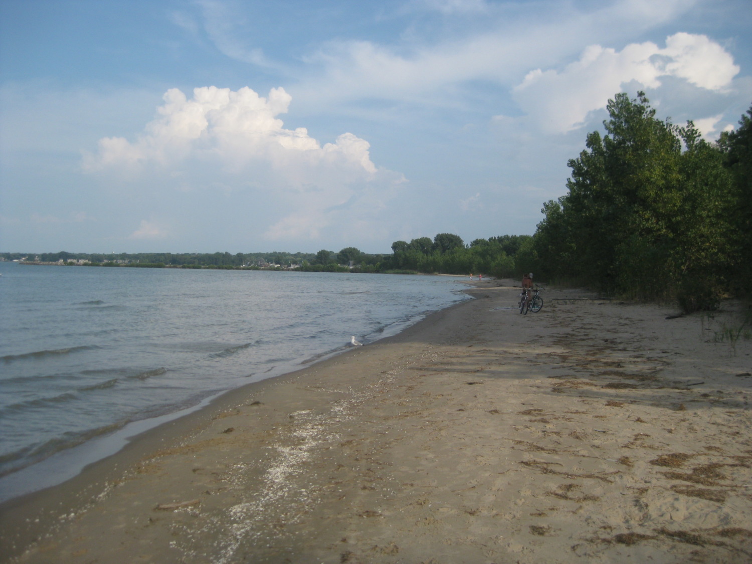 East Harbor State Park Sharing Horizons