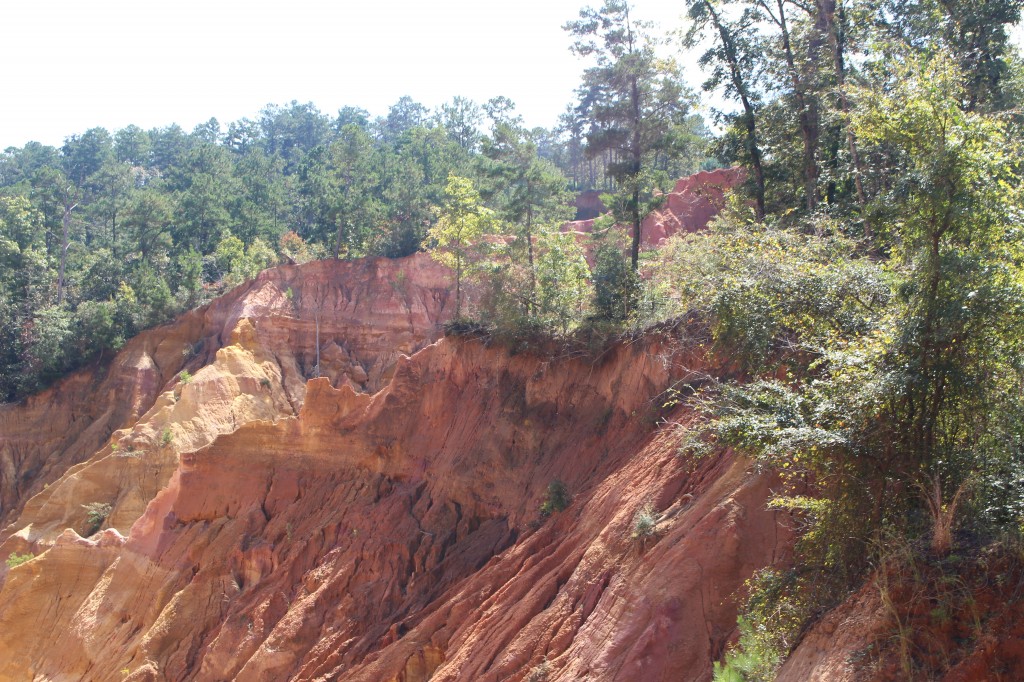 Red Bluff The Grand Canyon of Mississippi Sharing Horizons