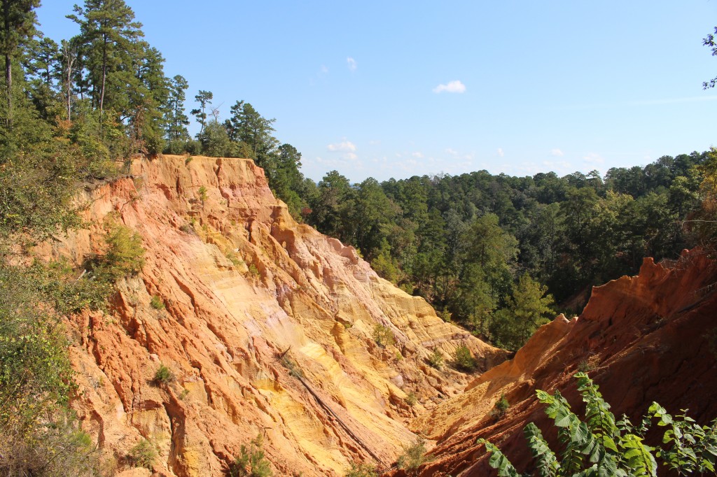 Red Bluff The Grand Canyon of Mississippi Sharing Horizons