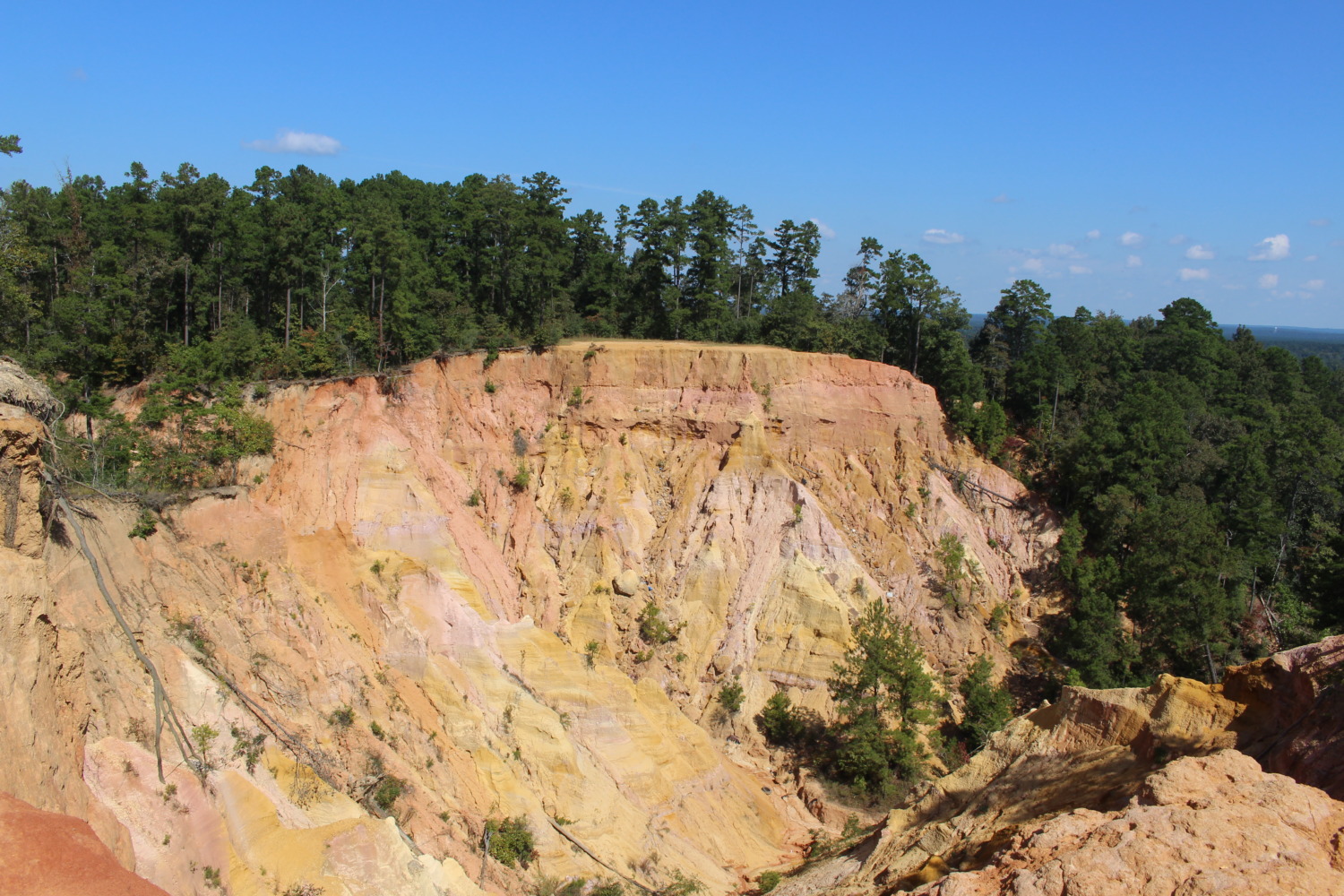 Red Bluff The Grand Canyon of Mississippi Sharing Horizons
