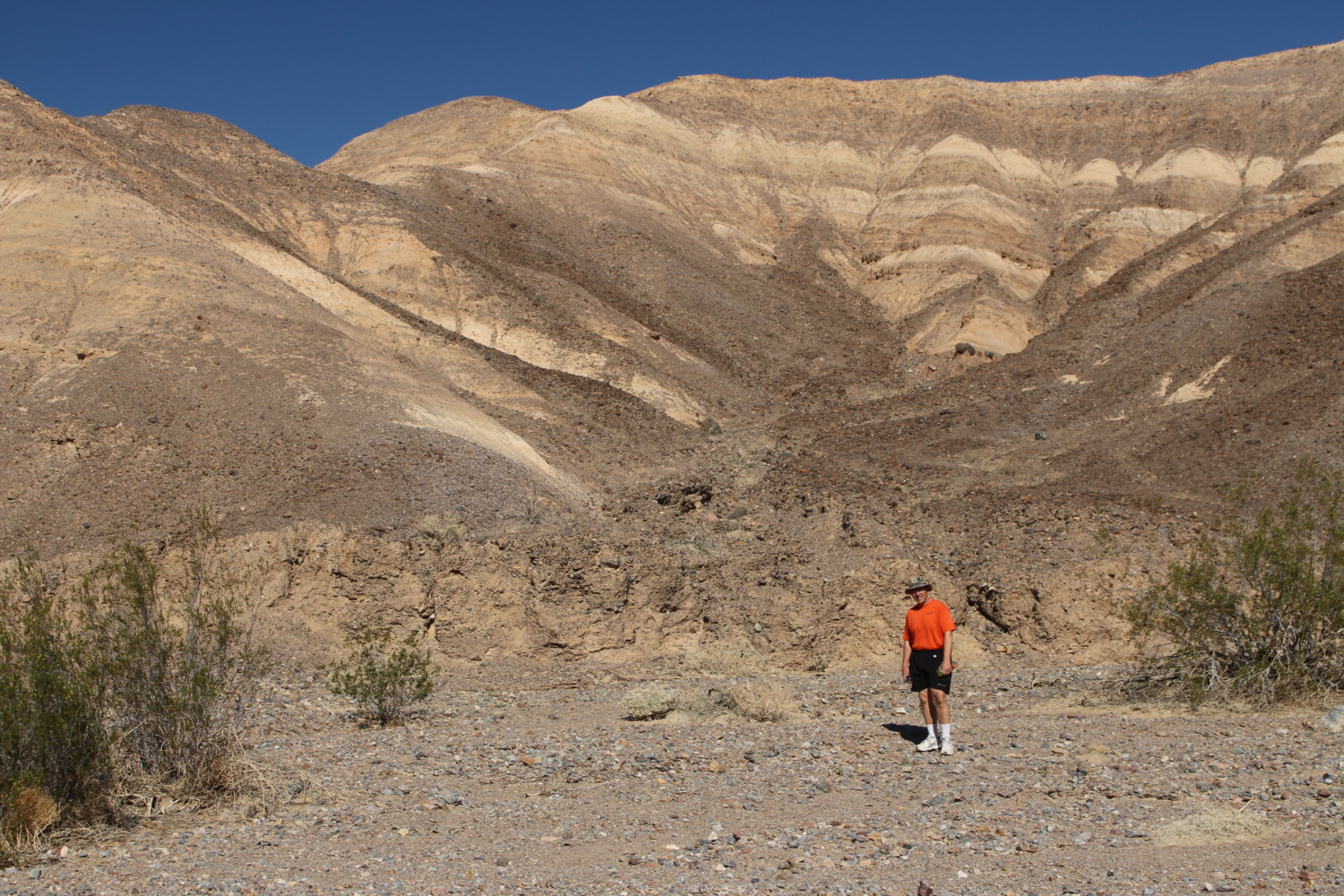 Kit Fox Hills Sharing Horizons