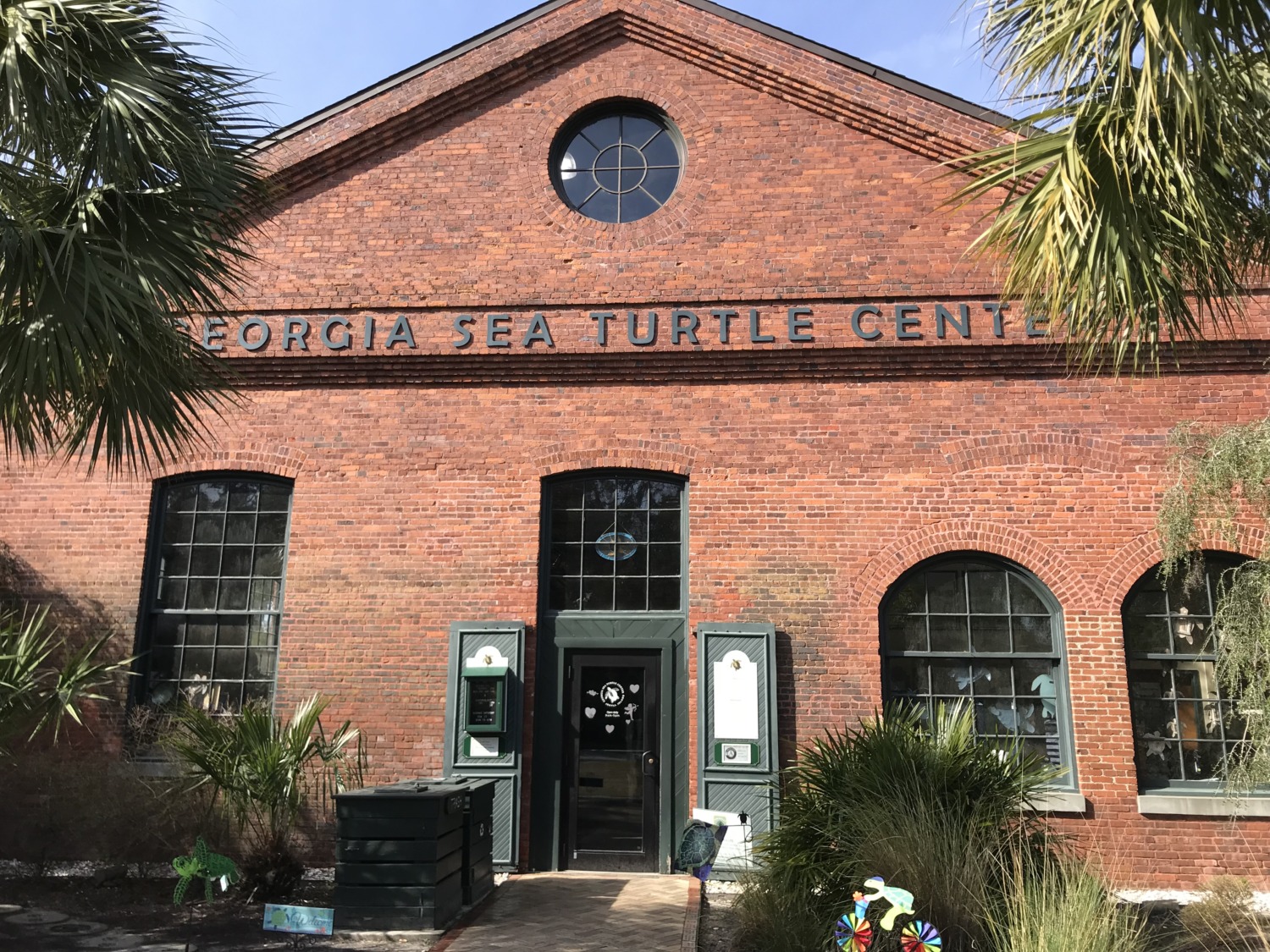 Sea Turtle Center on Jekyll Island Sharing Horizons