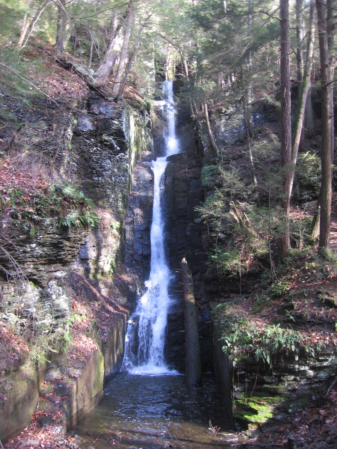 Pennsylvania Grand Canyon Pine Creek Sharing Horizons