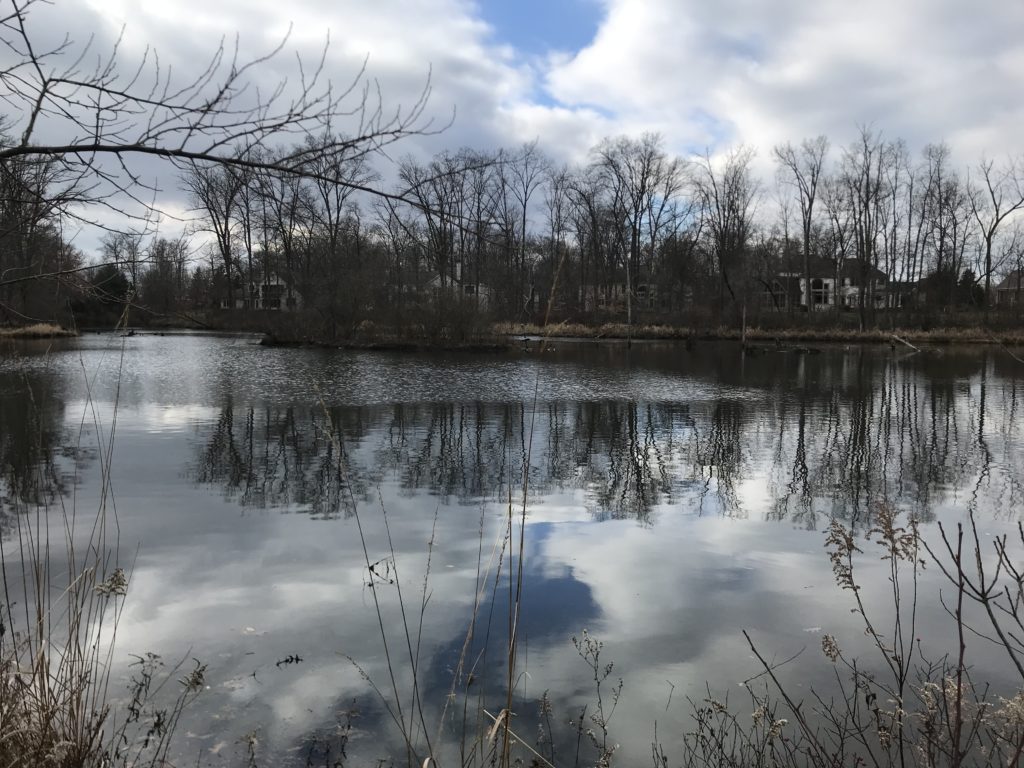Mud Hen Marsh and Oxbow Nature Preserves Sharing Horizons