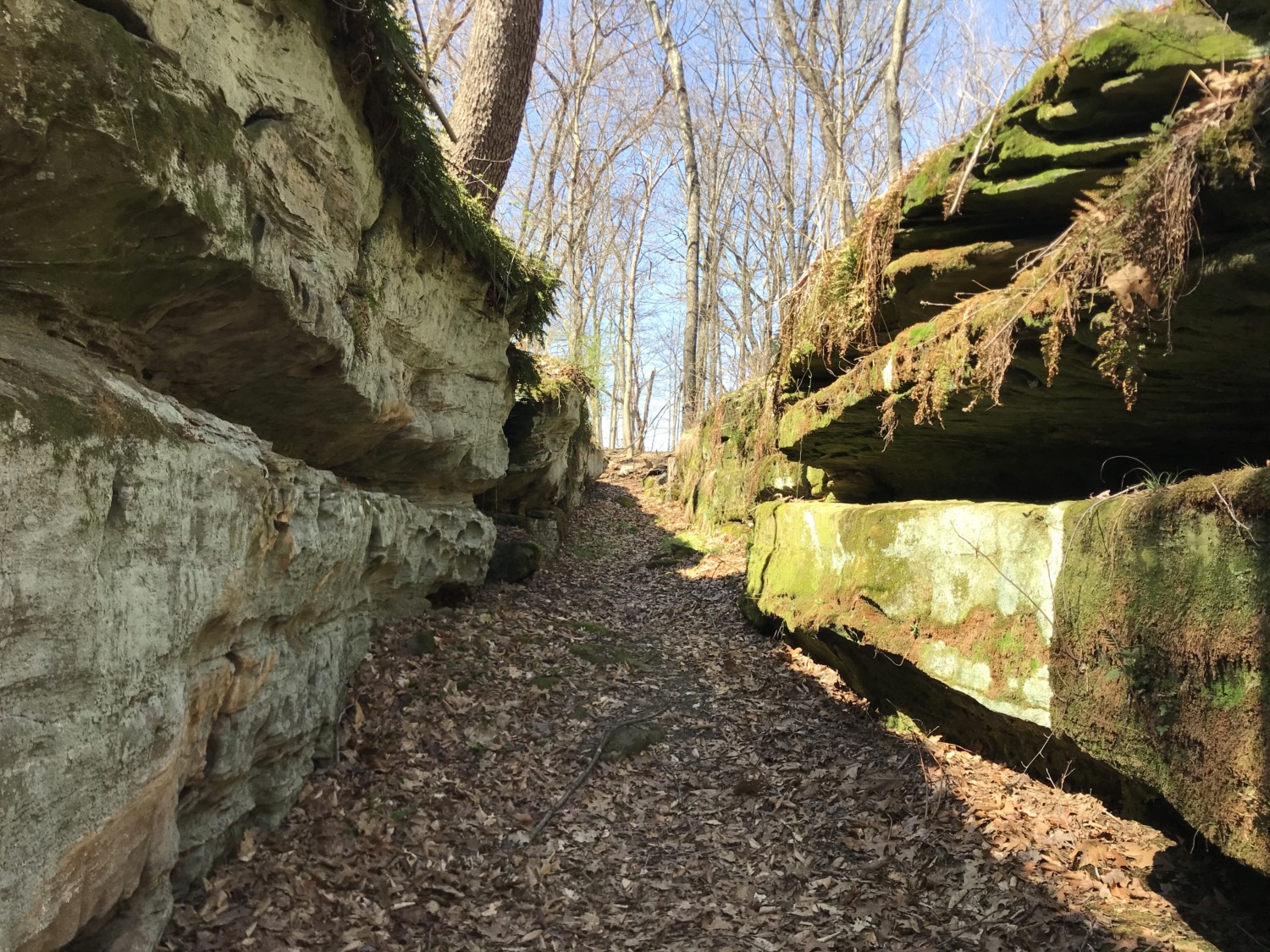 Glenford Fort Preserve, Perry County, Ohio Sharing Horizons