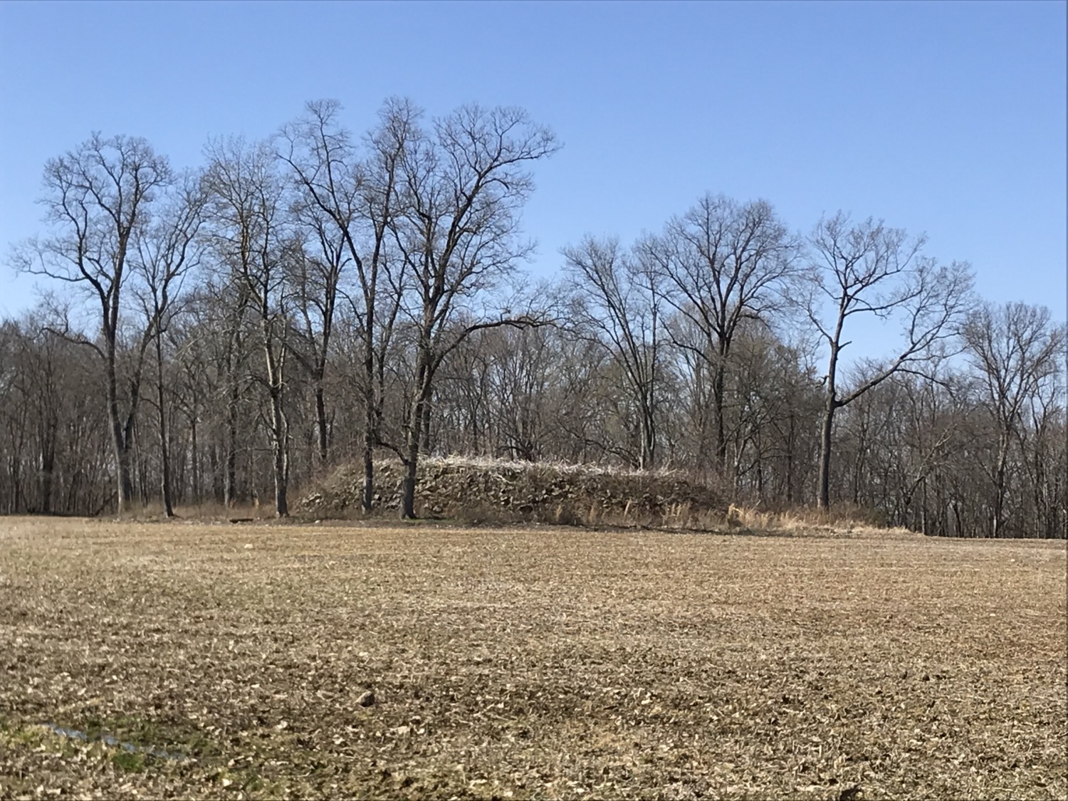 Glenford Fort Preserve, Perry County, Ohio Sharing Horizons