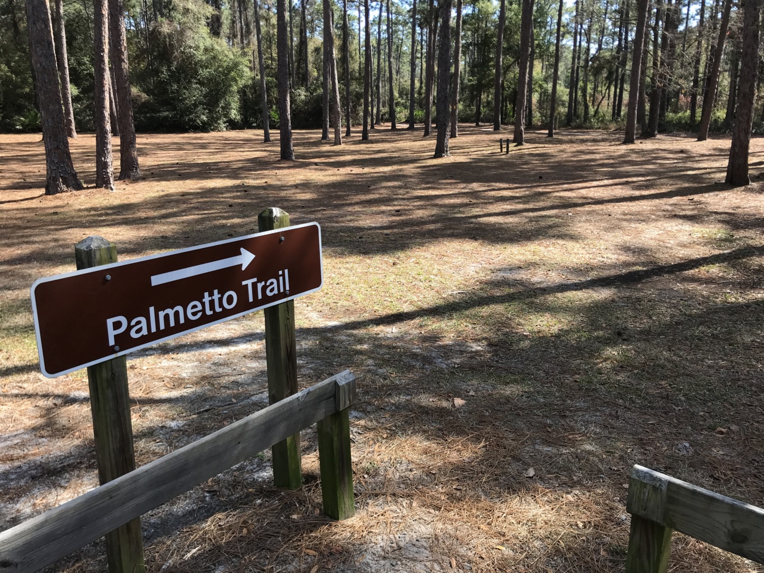 Crooked River State Park, St. Marys, Sharing Horizons