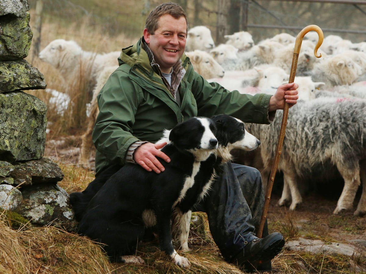 The Shepherd's Life by James Rebanks Sharing Horizons