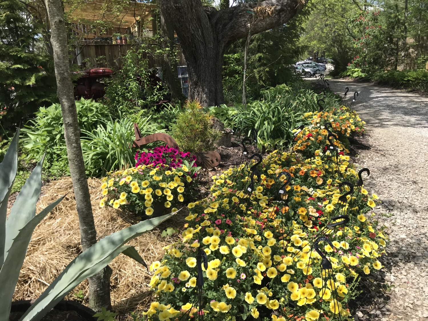 Groovy Plants Ranch in Marengo, Ohio Sharing Horizons