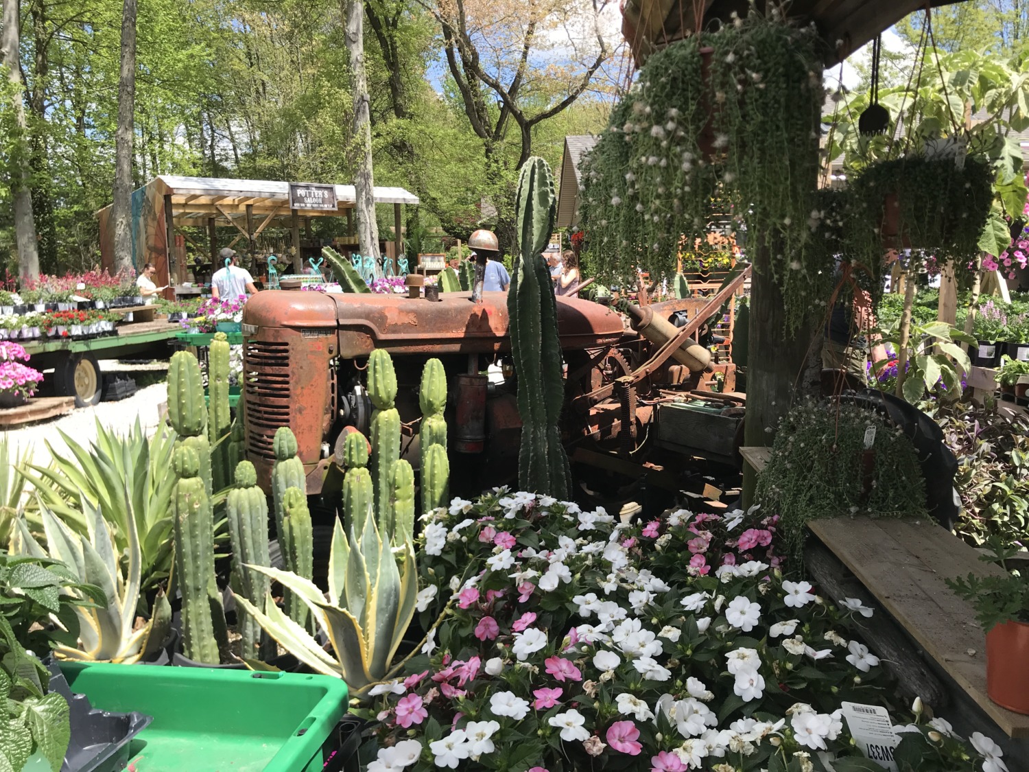 Groovy Plants Ranch in Marengo, Ohio Sharing Horizons