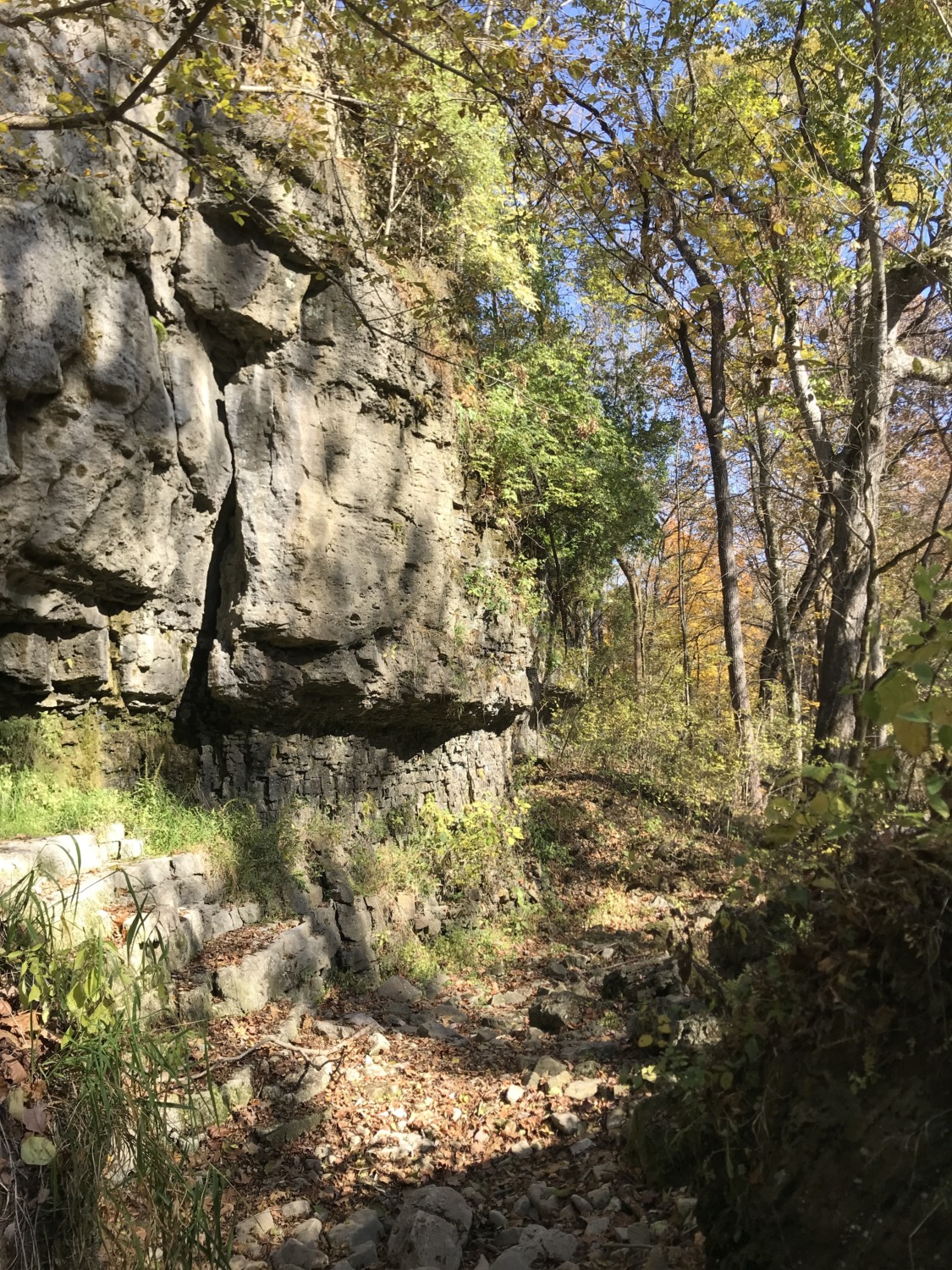 Calypso Grill and Smokehouse in Yellow Springs Sharing Horizons