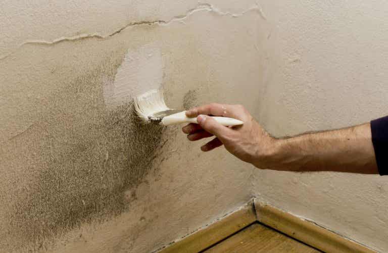 4 Ways to Remove Moisture in Your Home sharingideas.me