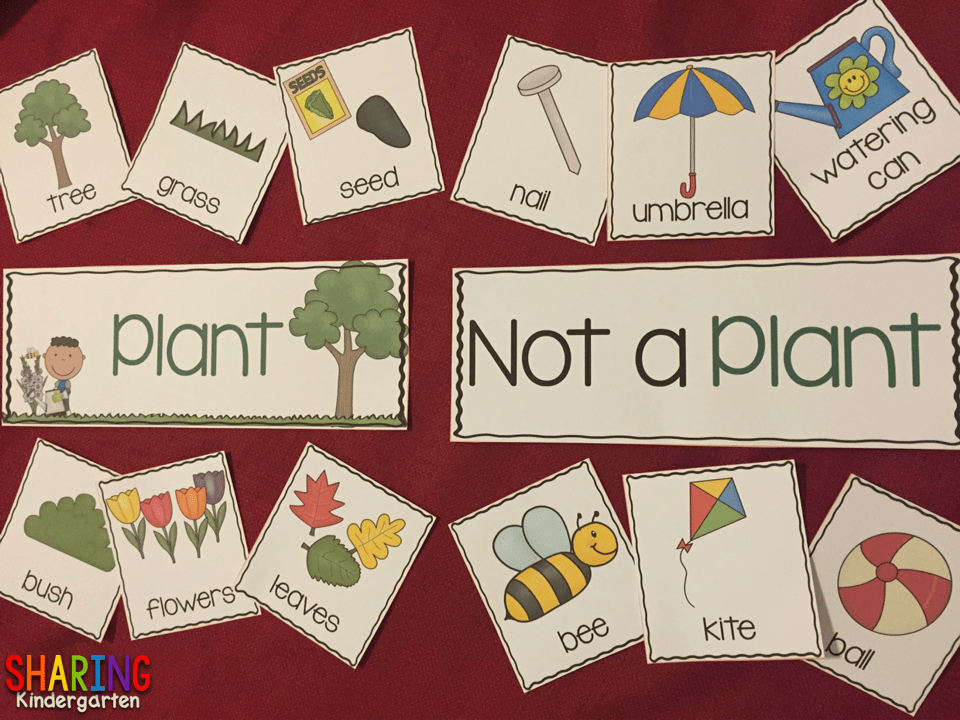 Plants Print & Play Pack Sharing Kindergarten