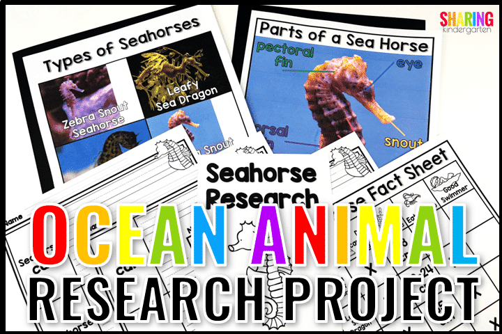 Ocean Animal Research Project with These Engaging Printables - Sharing