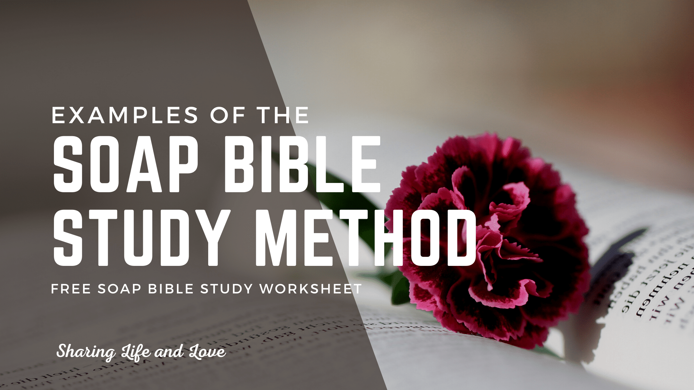 Awesome SOAP Bible Study Examples with FREE SOAP PDF Sharing Life and