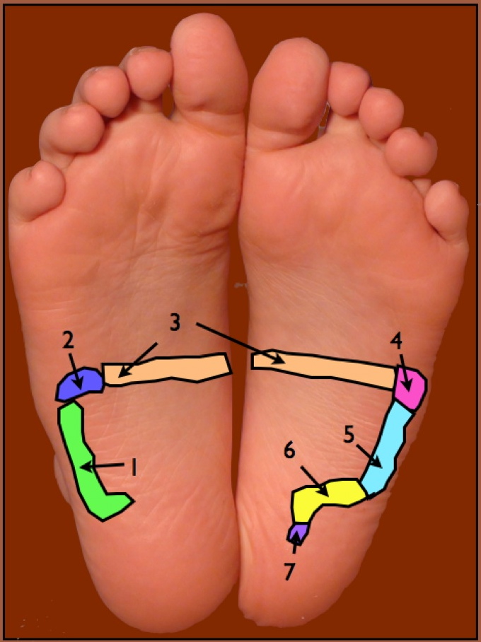 Constipation Sharing The Health