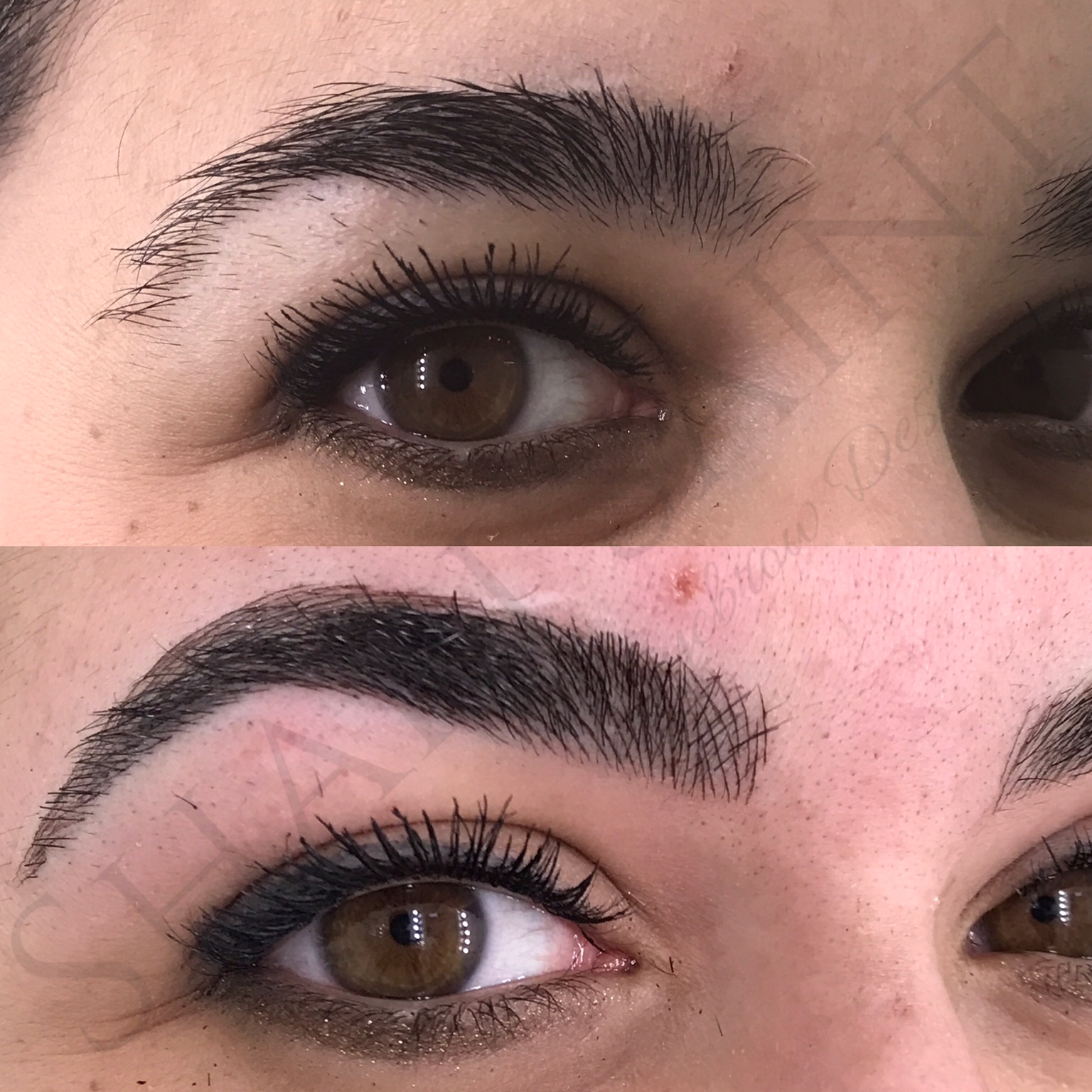 Natural Microblading w/ Shari Saint No One will Ever Know