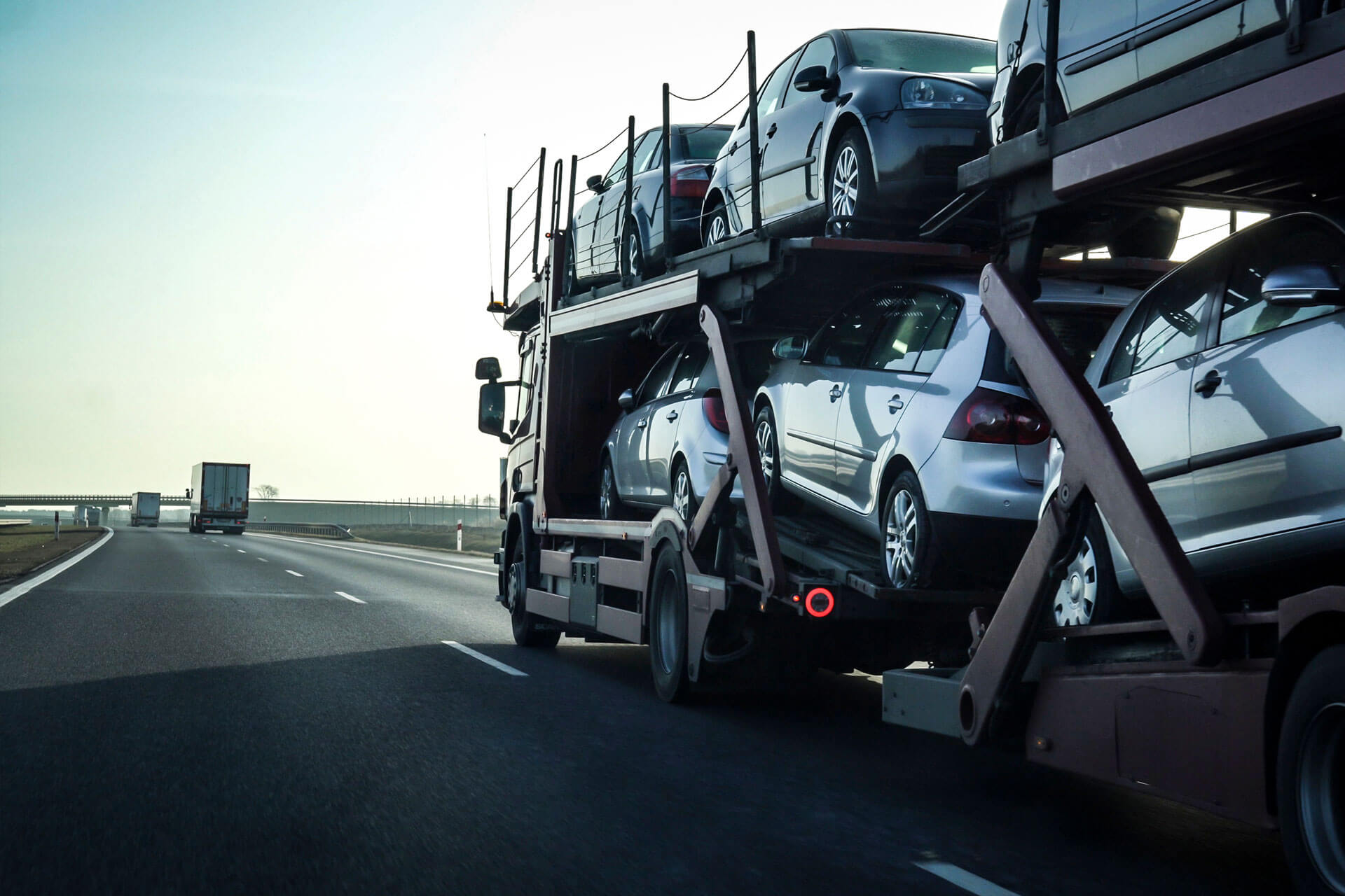 Carrier Sales Rep Shark Freight, Inc.