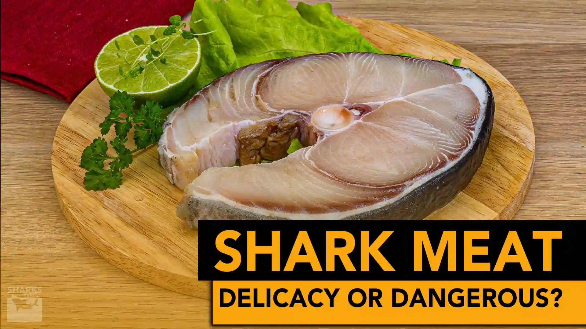 Shark Meat Delicacy Or Dangerous?