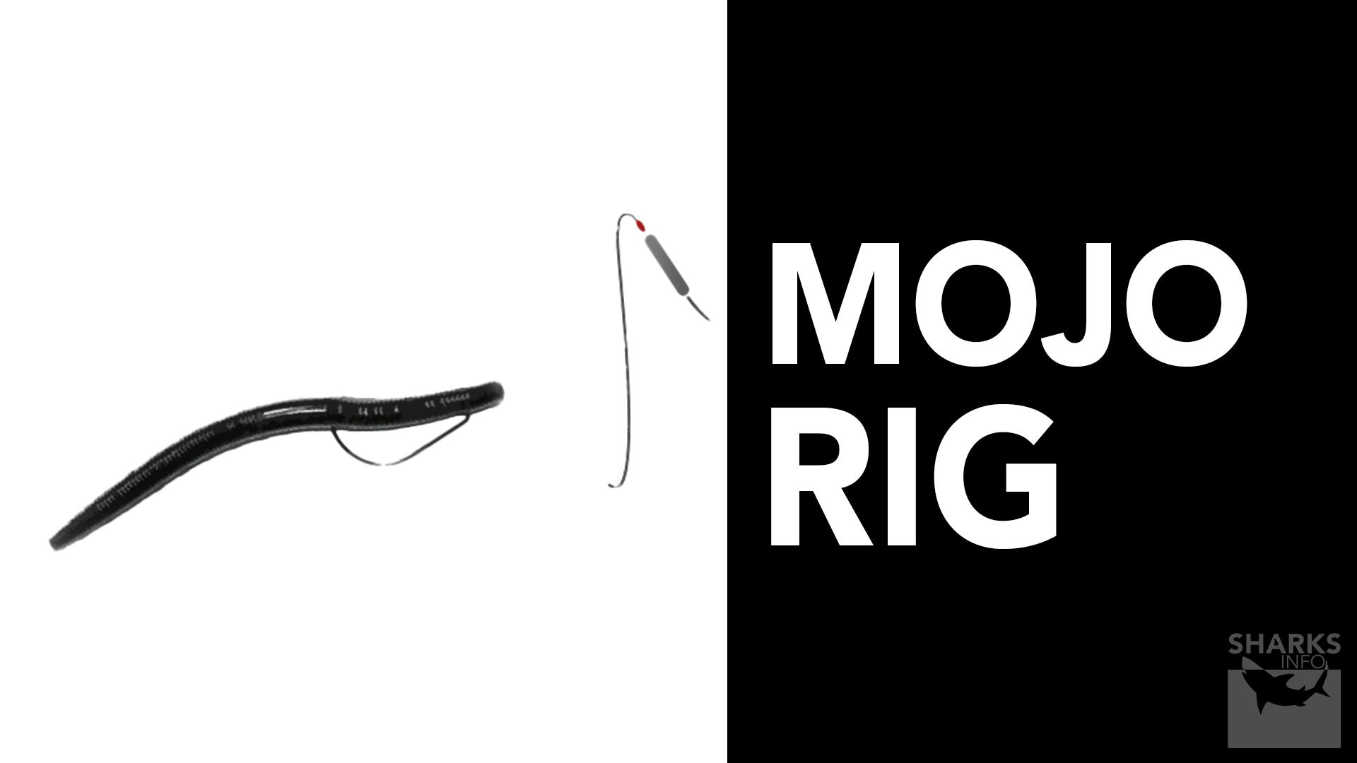 Best Striped Bass Rigs (4 Proven Striper Rigs)