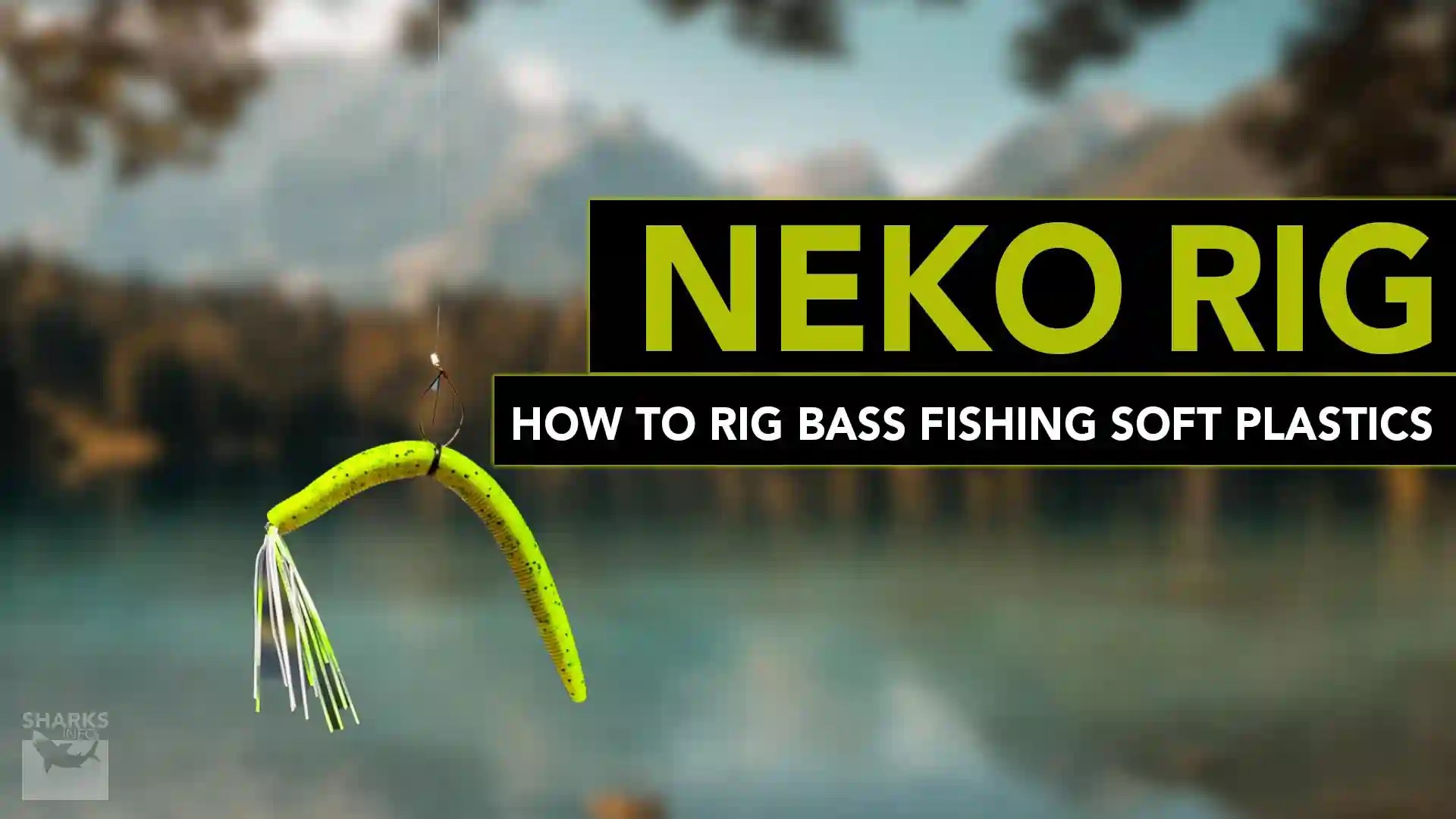 The Neko Rig_ How To Rig Bass Fishing Soft Plastics?