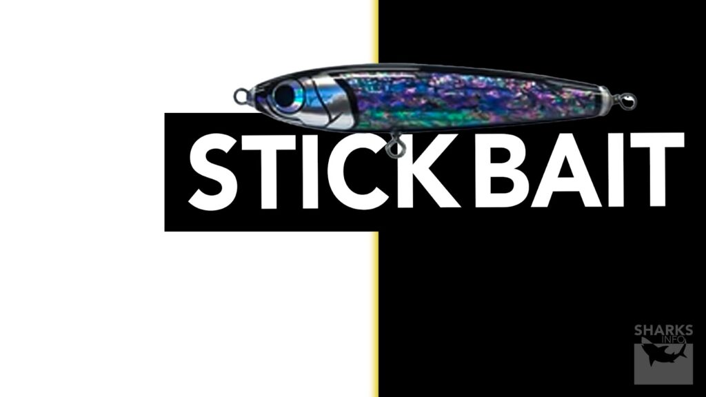 A Guide To Bass Fishing Soft Plastics