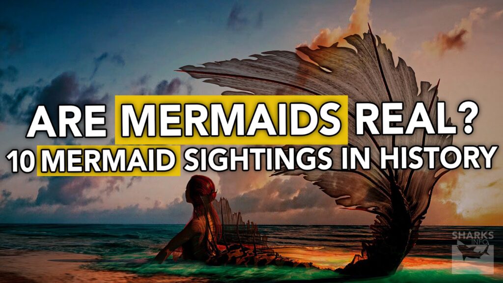Are Mermaids Real? 10 Mermaid Sightings in History