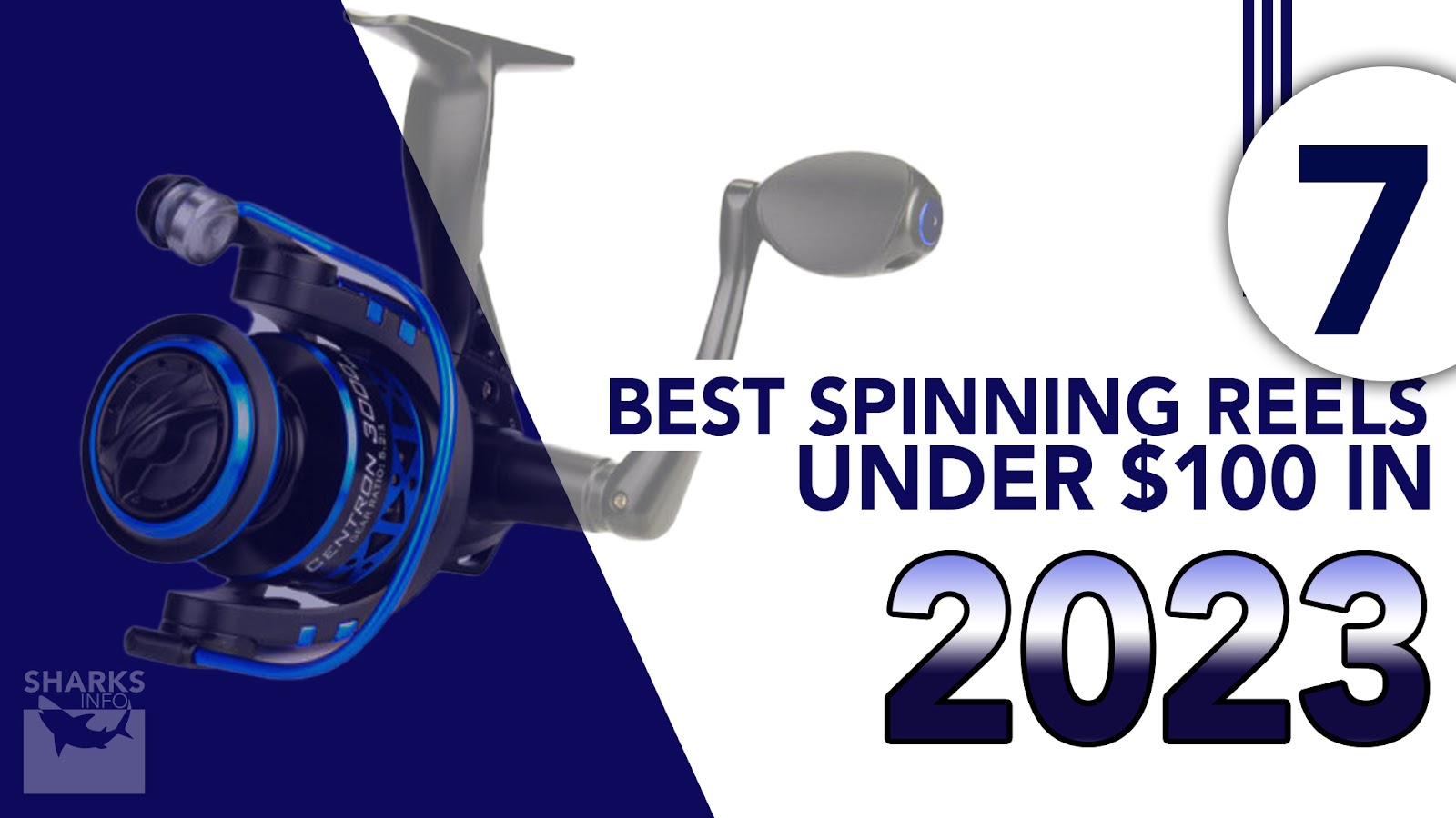 7 Best Spinning Reels Under 100 in 2023
