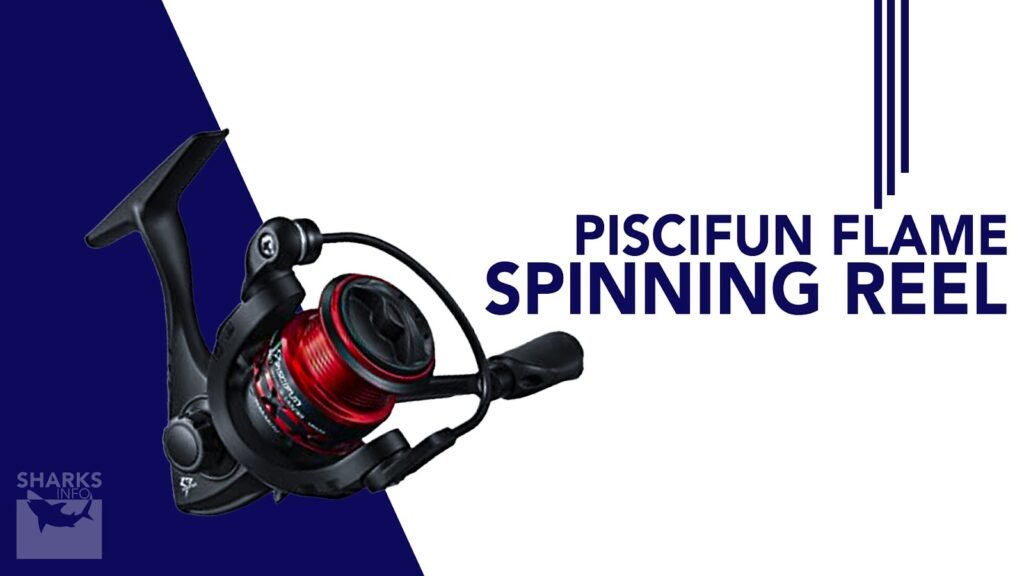 7 Best Spinning Reels Under 100 in 2023