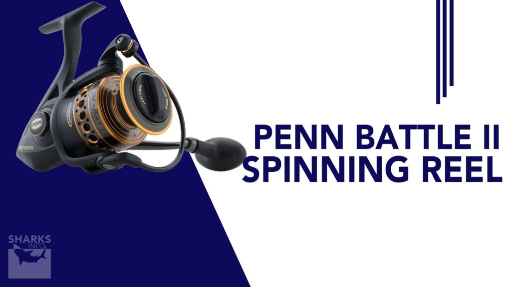 7 Best Spinning Reels Under 100 in 2023