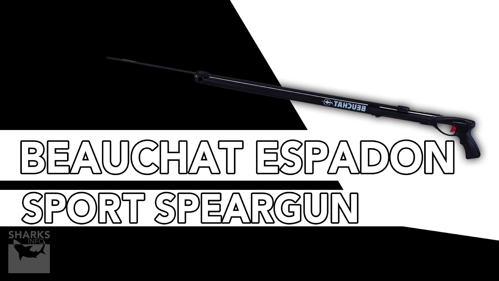 12 Best Spearguns In 2023 (For All Skill Levels)
