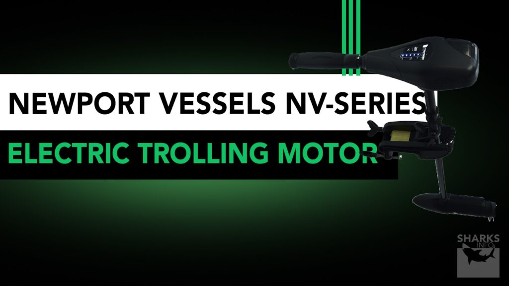 5 Best SpotLock Trolling Motors in 2023