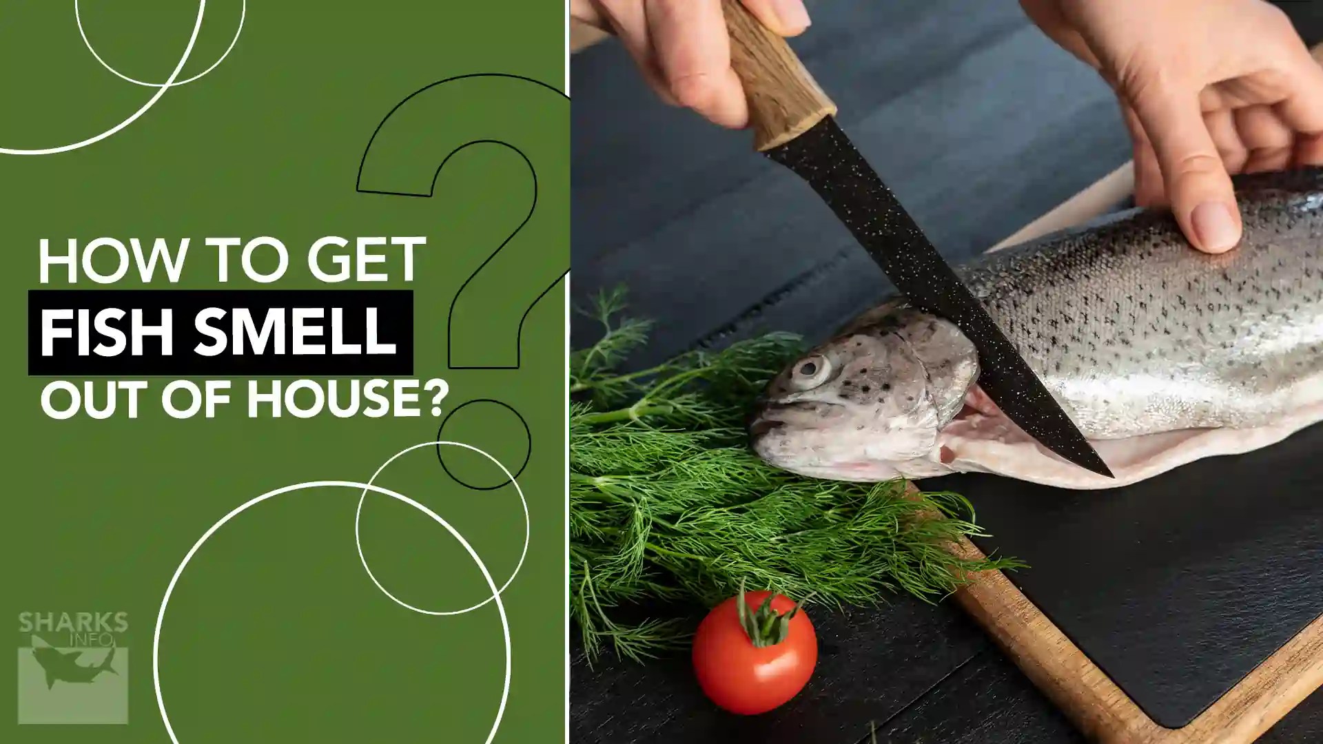 How to Get Fish Smell Out of House?