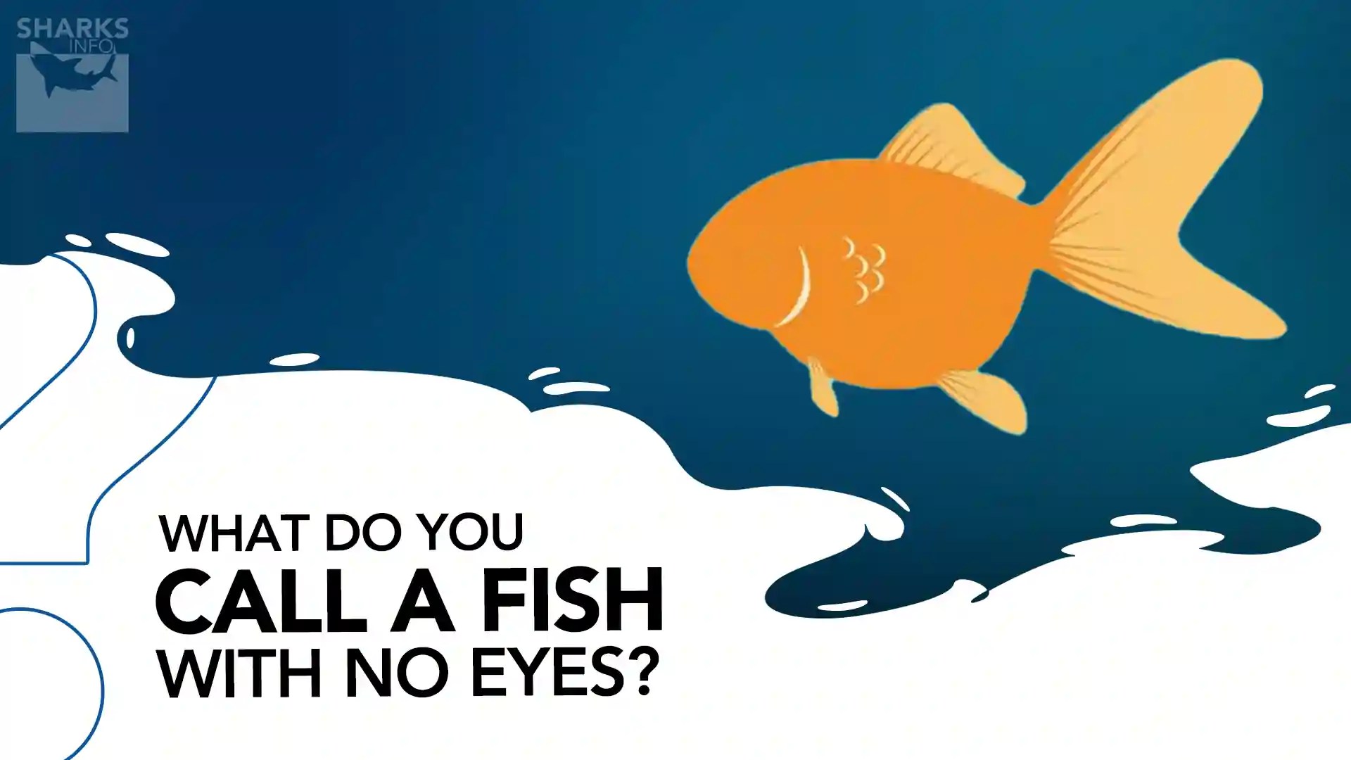 What do you Call a Fish With No Eyes?