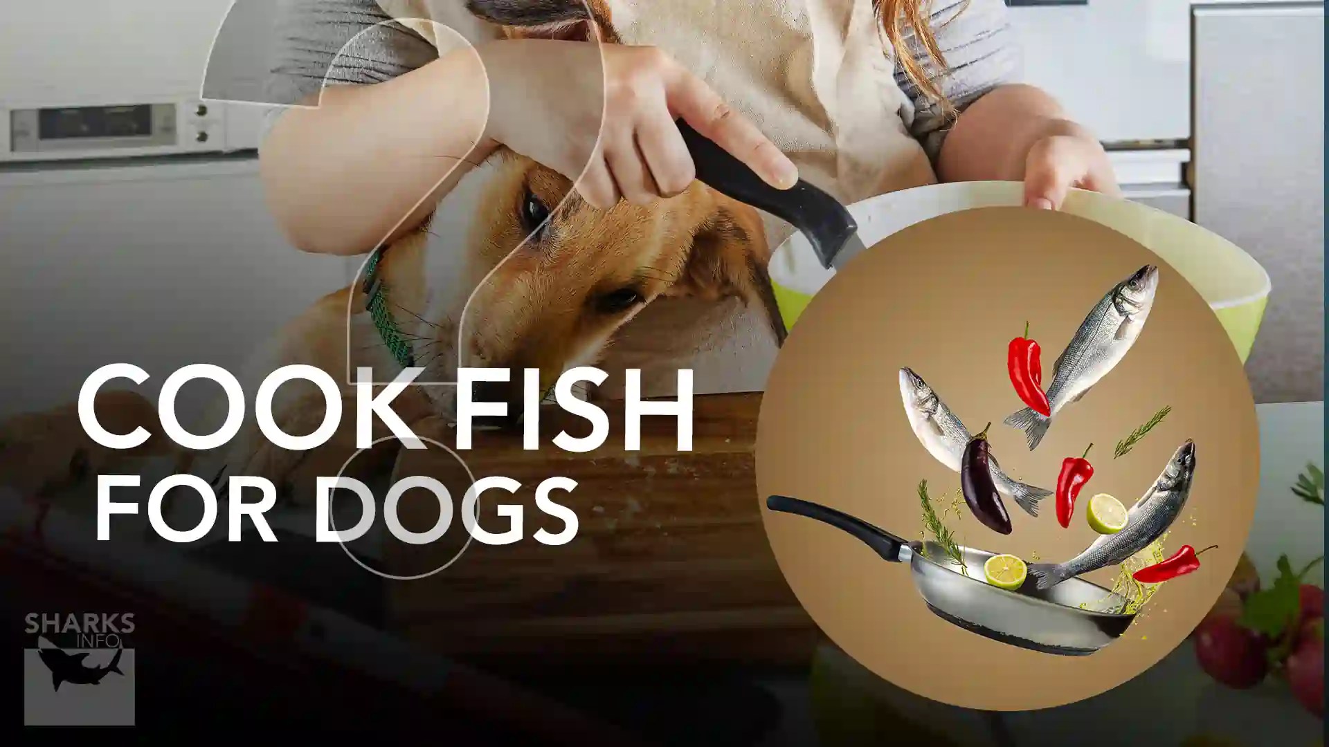 How To Cook Fish For Dogs?