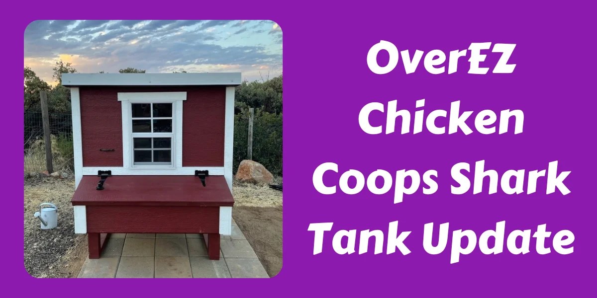 What Happened To OverEZ Chicken Coops After Shark Tank? In 2024