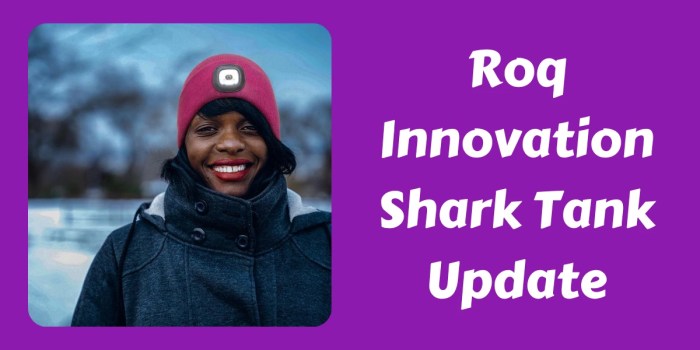 Roq innovation net worth 2023