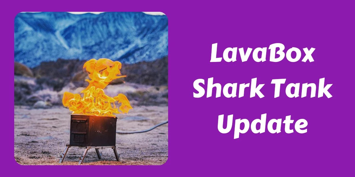 What Happened To LavaBox After Shark Tank? In 2024