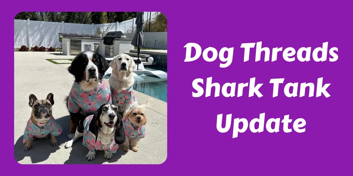 What Happened To Dog Threads After Shark Tank? In 2024