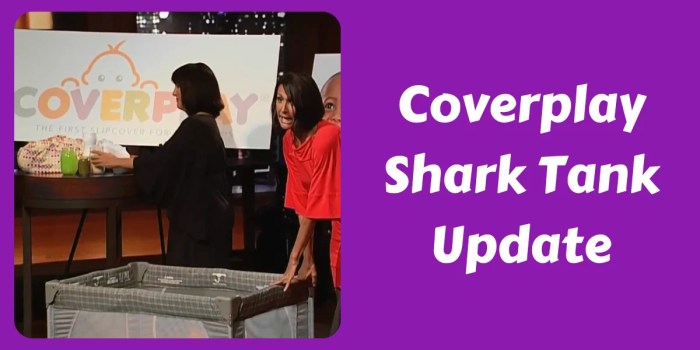 Coverplay shark tank net worth 2020