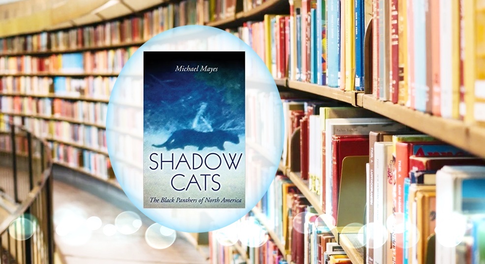 shadow cats Sharon A. Hill