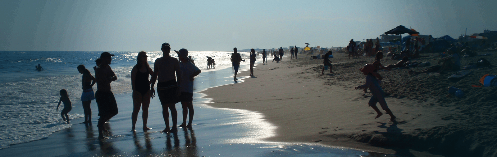 Sharon DeLeasa Realty