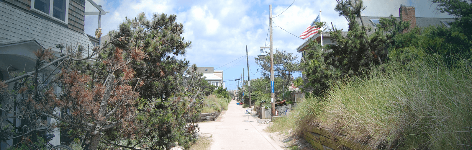 Sharon DeLeasa Realty