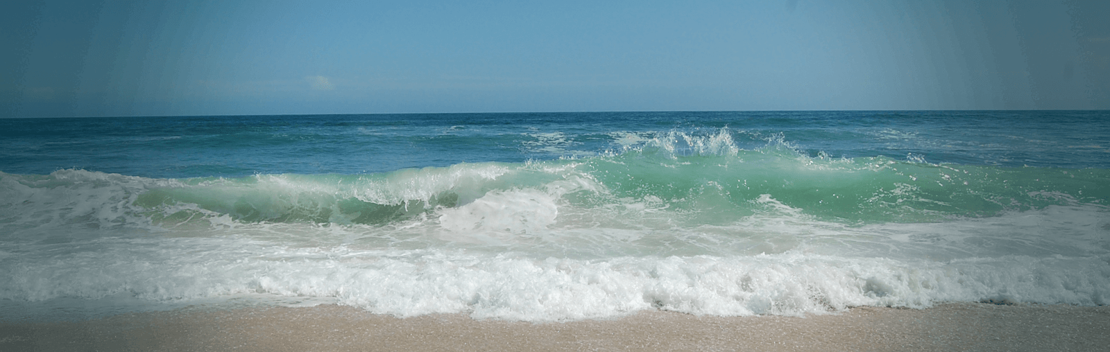 Sharon DeLeasa Realty