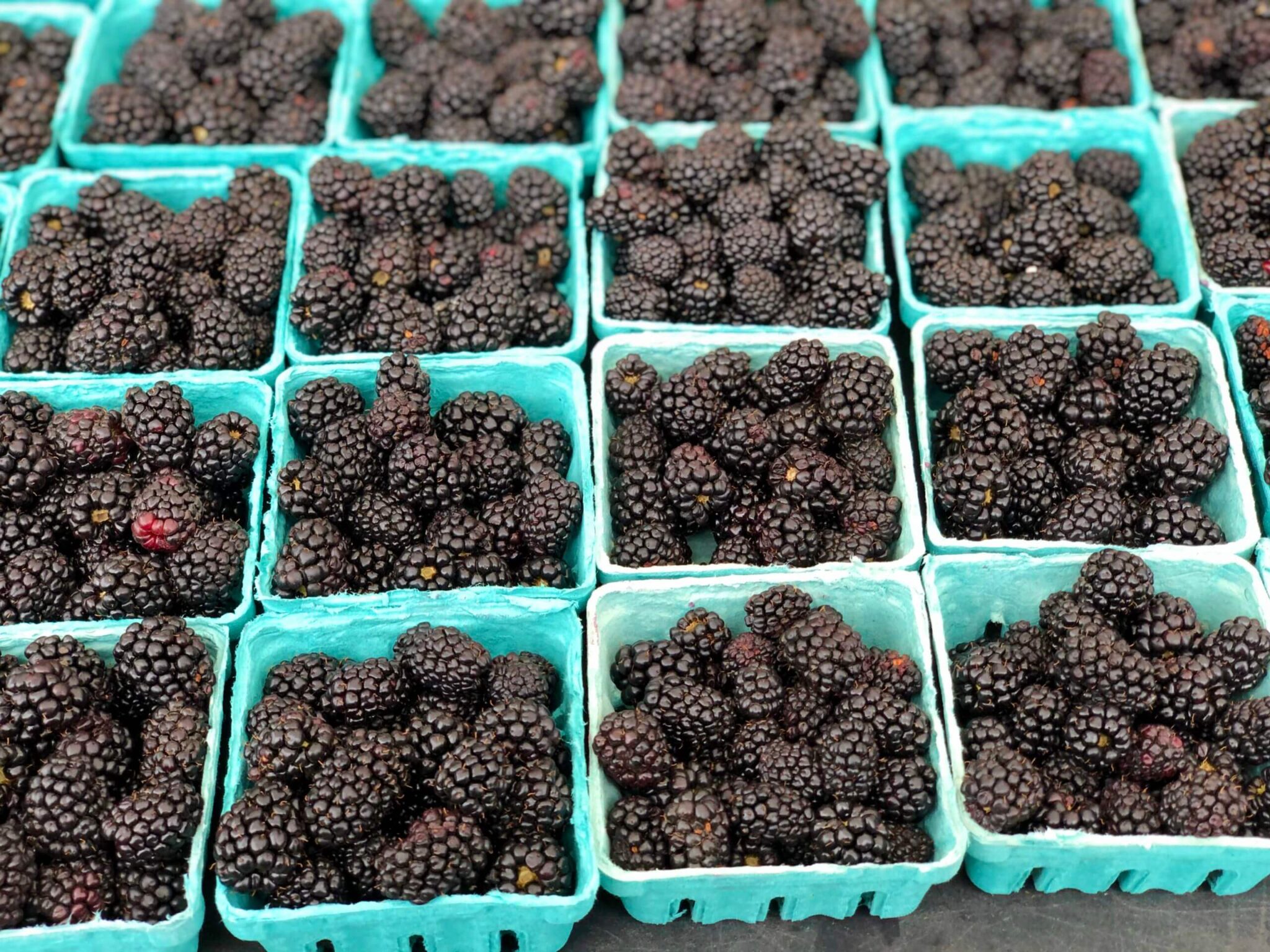 Top 5 Ways to Use Blackberries Sharon Palmer, The Plant Powered Dietitian