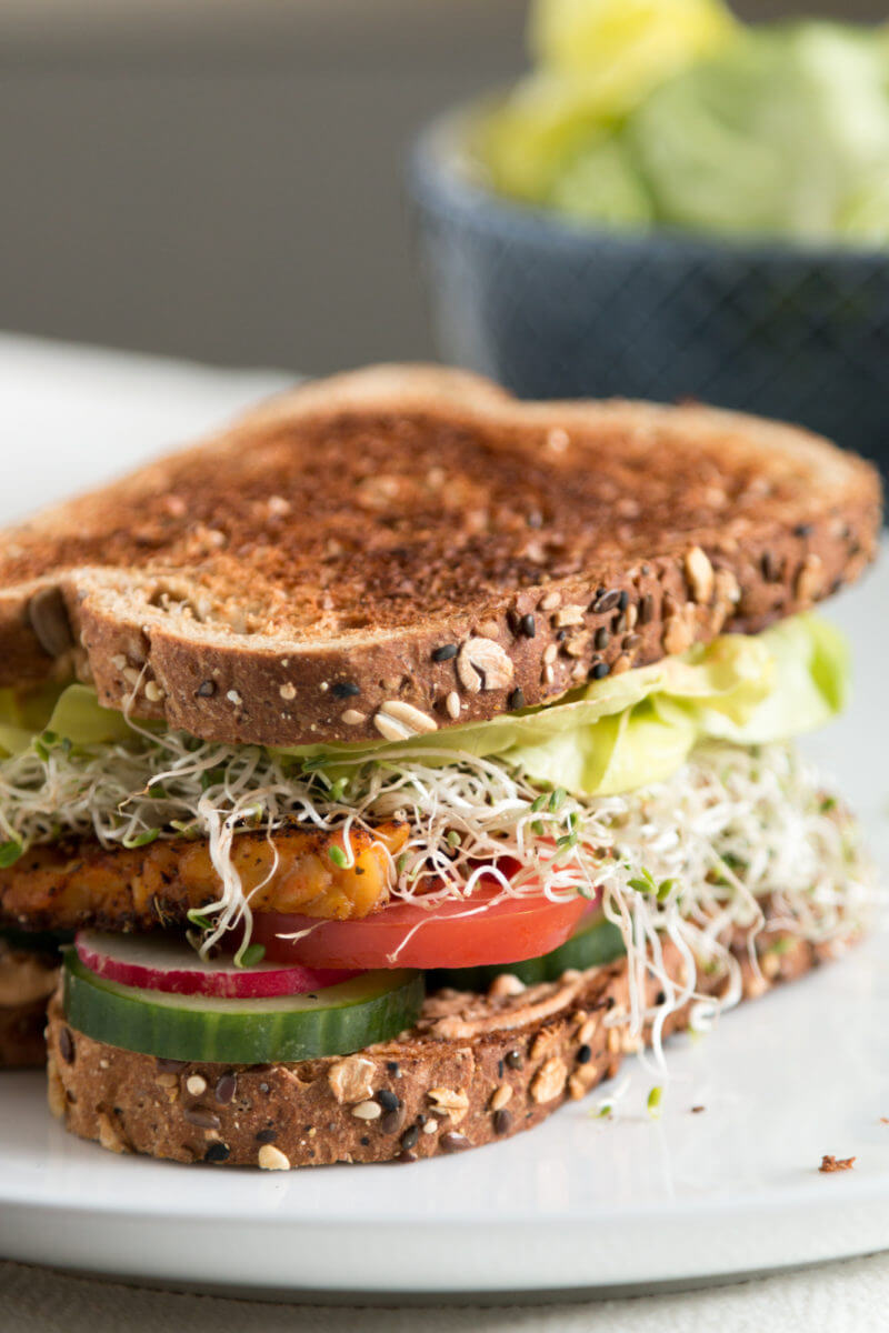 45 BEST EVER PlantBased Sandwiches Sharon Palmer, The Plant Powered Dietitian