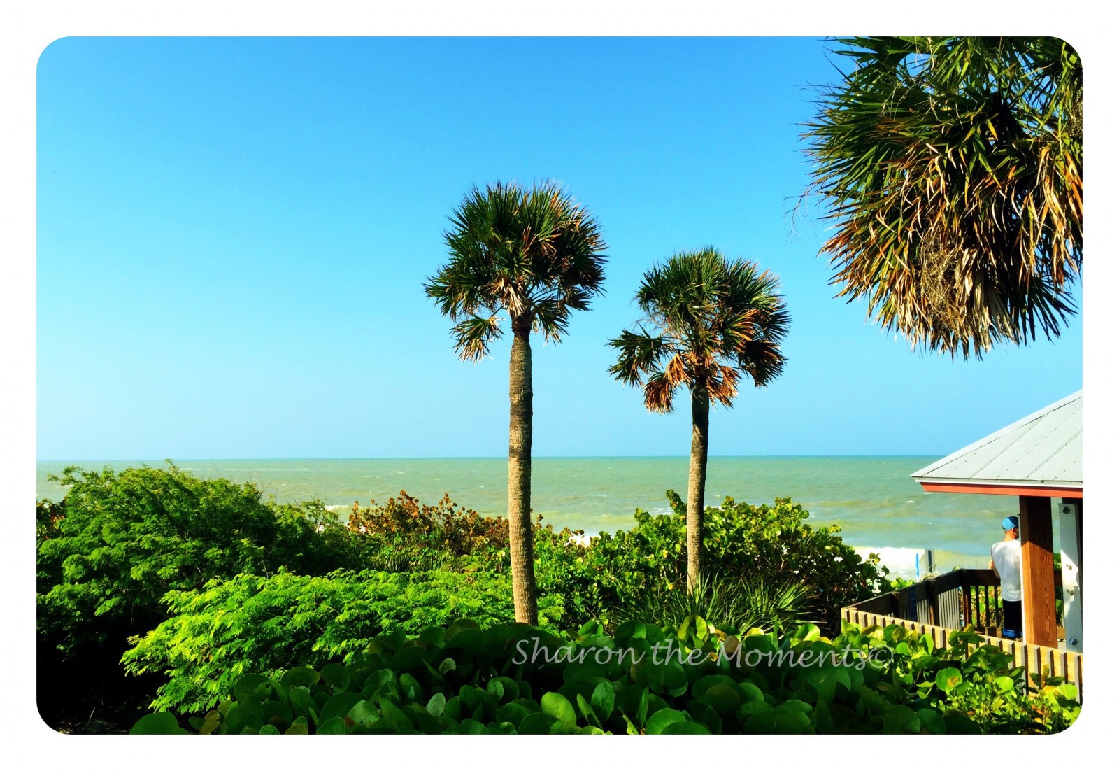 Bonita Beach Park Sharon the Moments