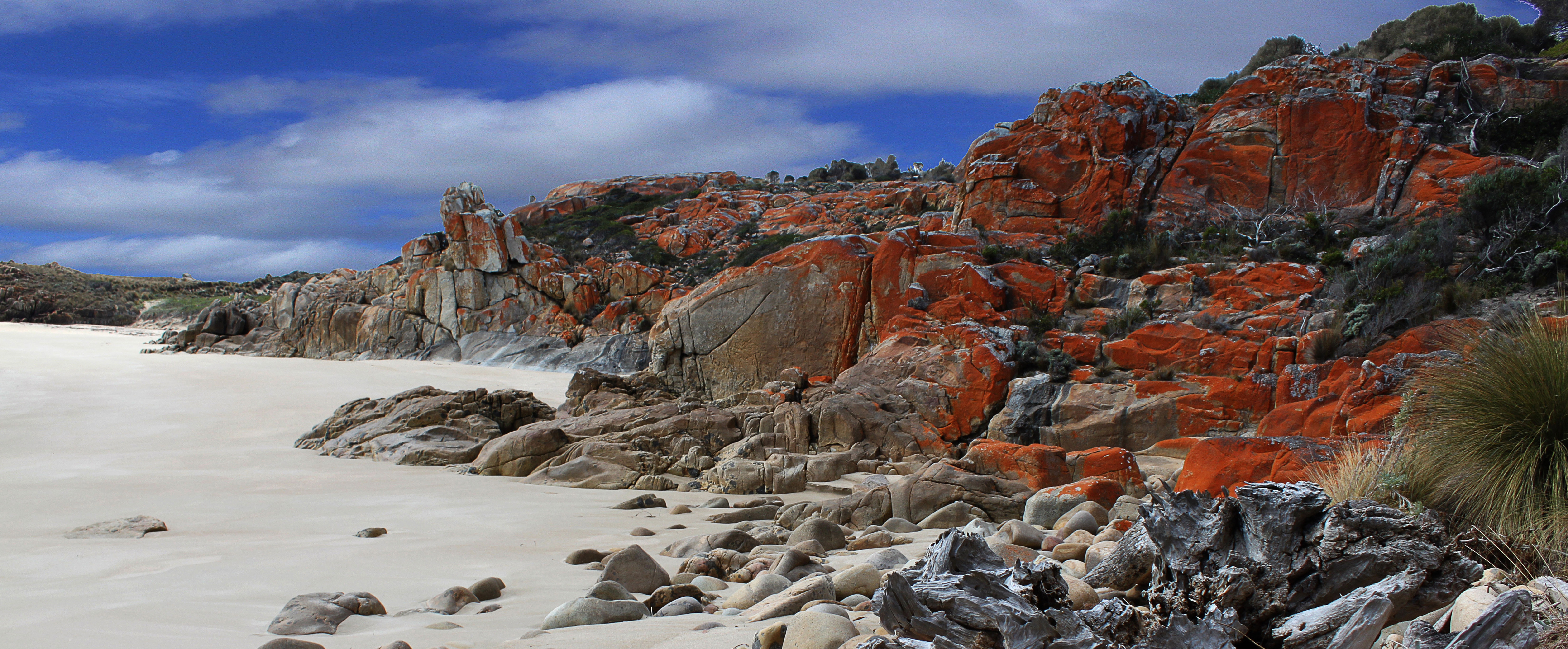 Sharp Airlines Flinders Island